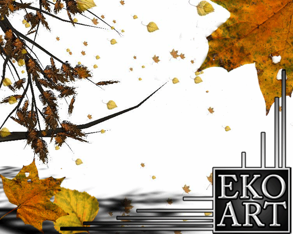 Particle Collection by EKOART