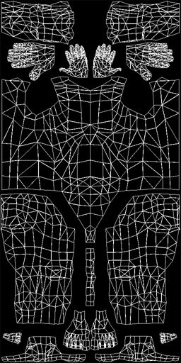 Body Skin Wiremap