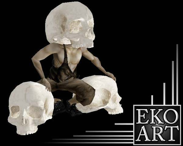 Skull Collection by EKOART