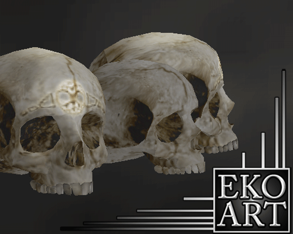 Skull Collection by EKOART