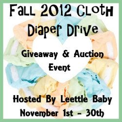 Fall 2012 Cloth Diaper Drive