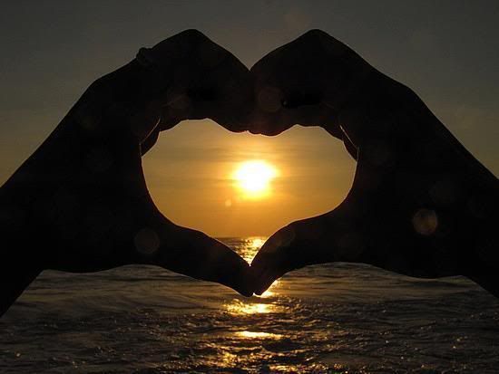 Sunset love Pictures, Images and Photos