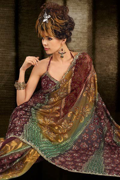 Chikan Saree Blouse Pictures, Images and Photos