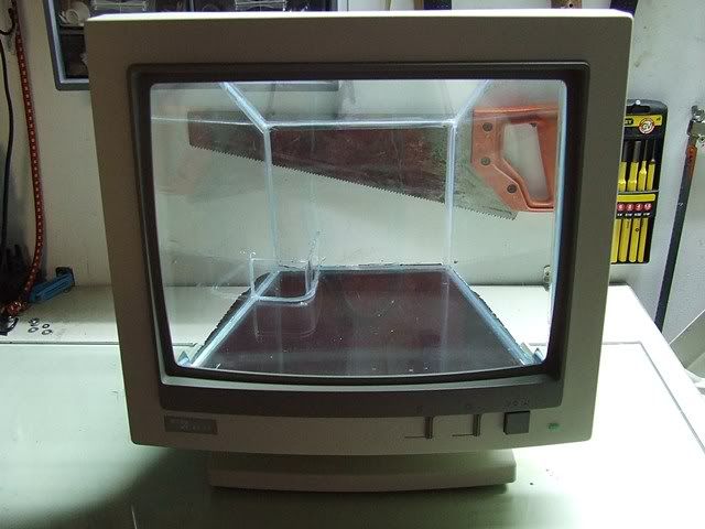 http://i1198.photobucket.com/albums/aa446/aquariumidee/Cybernano16.jpg