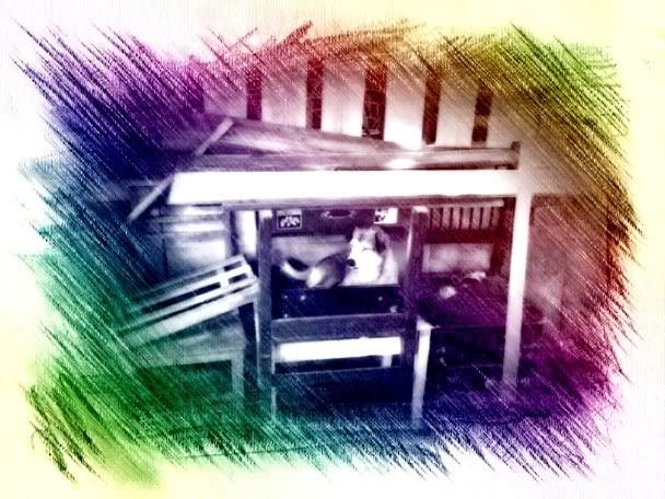 Photobucket Pictures, Images and Photos