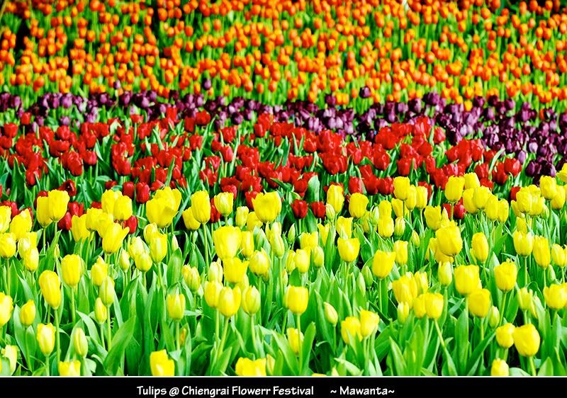 Photobucket Pictures, Images and Photos