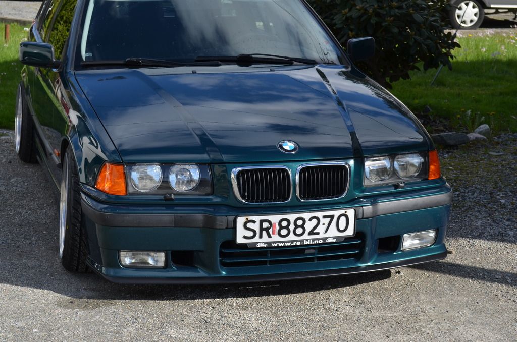 DSC_0108_zpsdsdvhgfv.jpg