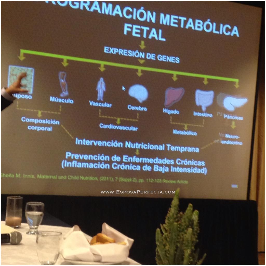 La correcta nutrición ayuda a prevenir enfermedades