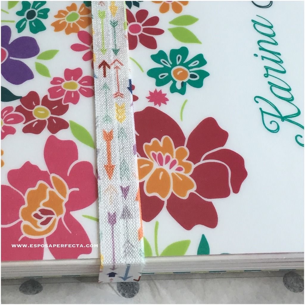agenda erin condren mexico