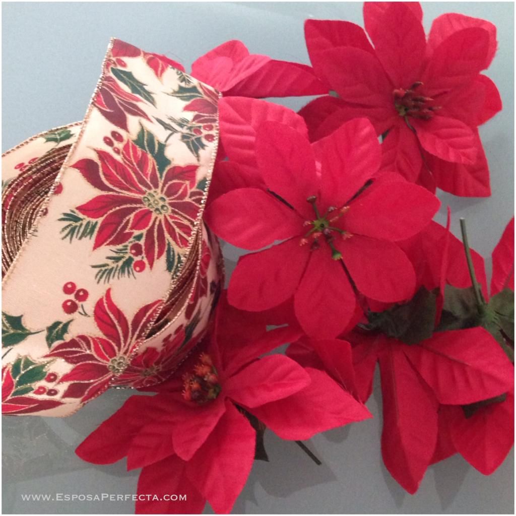 Flores de nochebuena