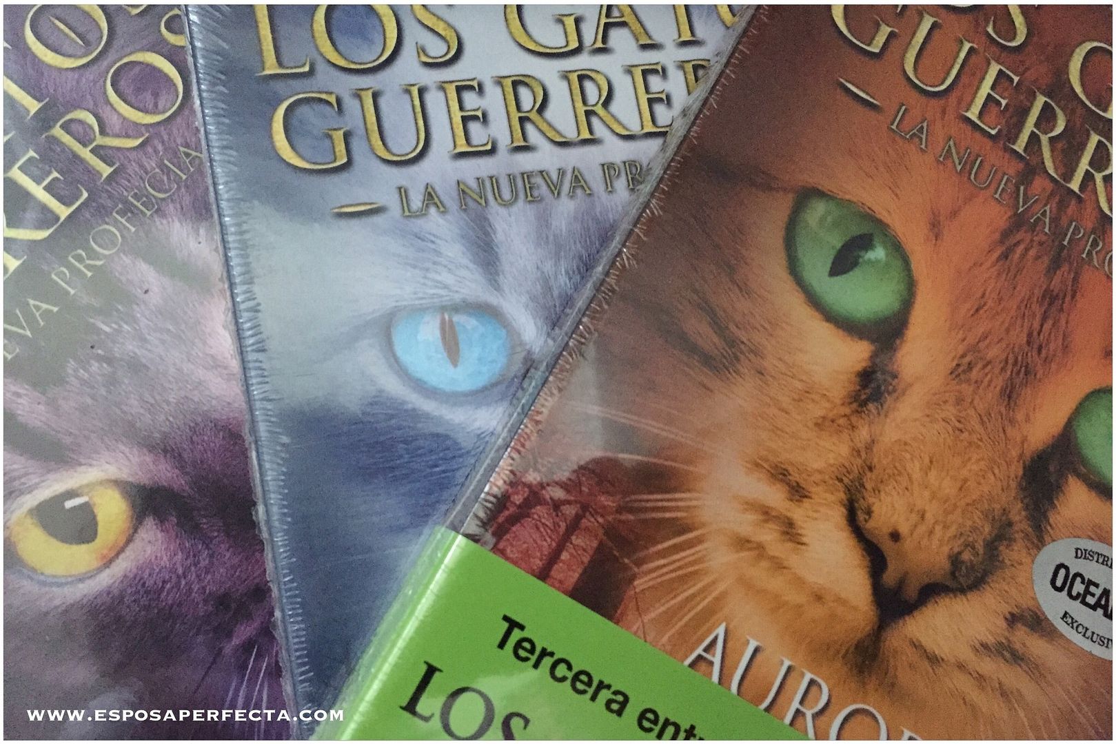 Los gatos guerreros, libros para adolescentes