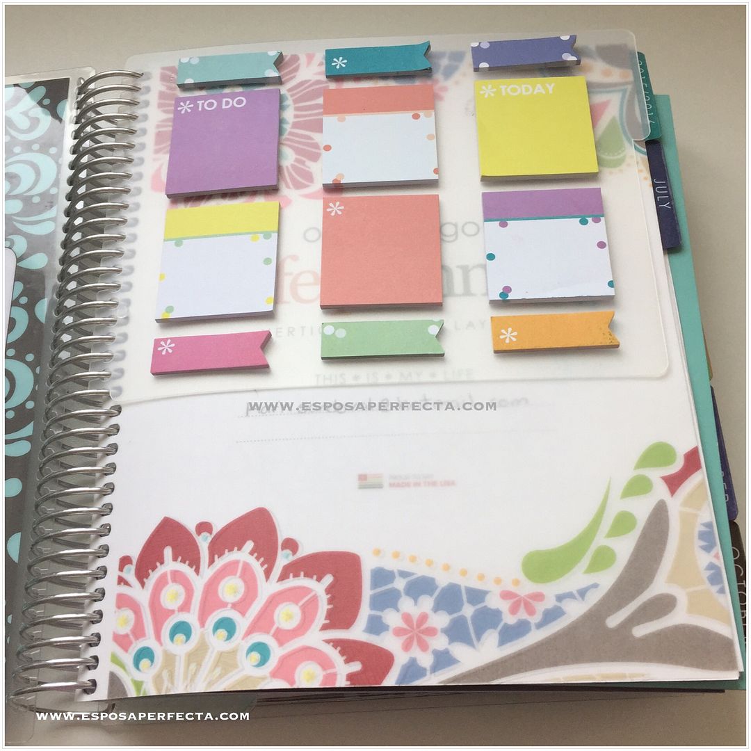Erin Condren dashboard