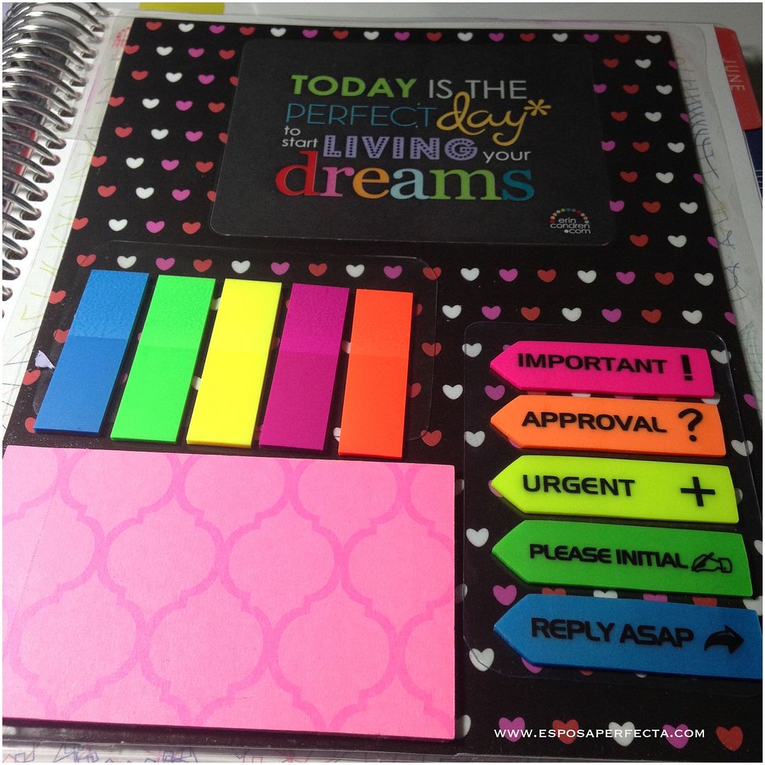 Erin condren dashboard