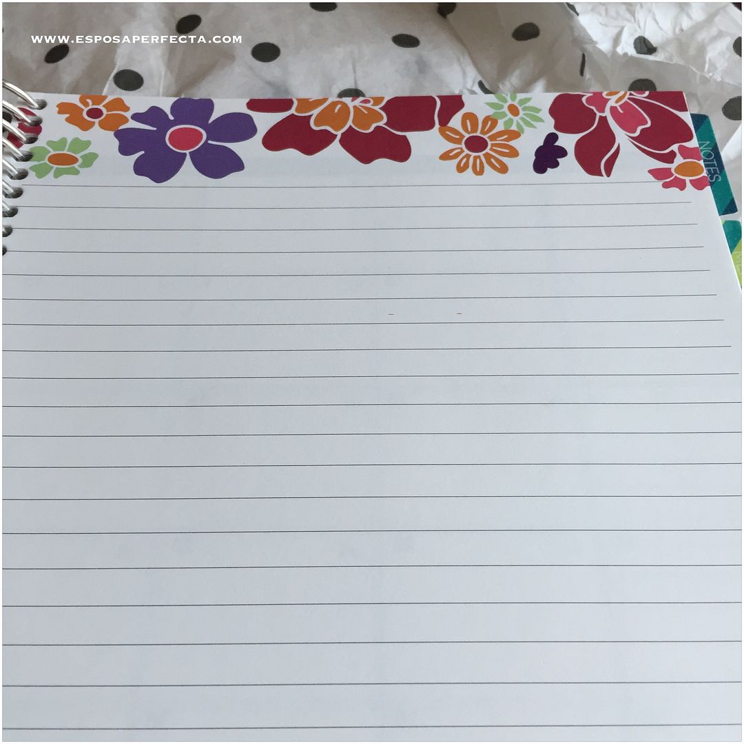 agendas americanas en méxico