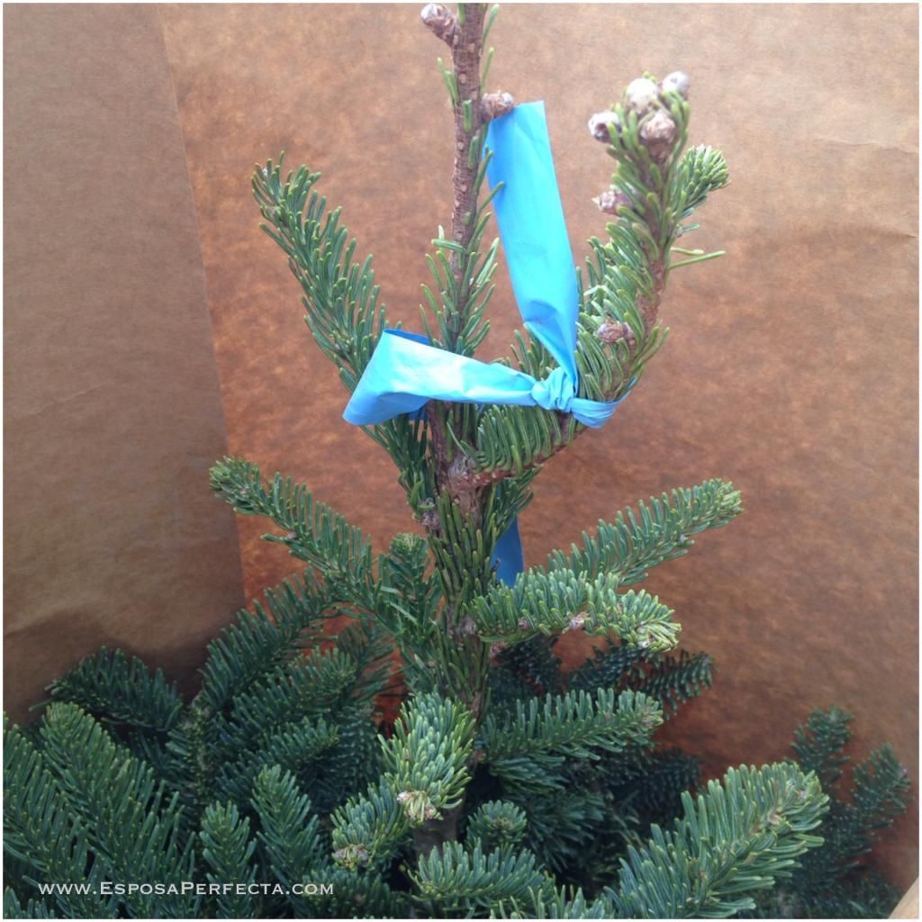 Árbol navideño