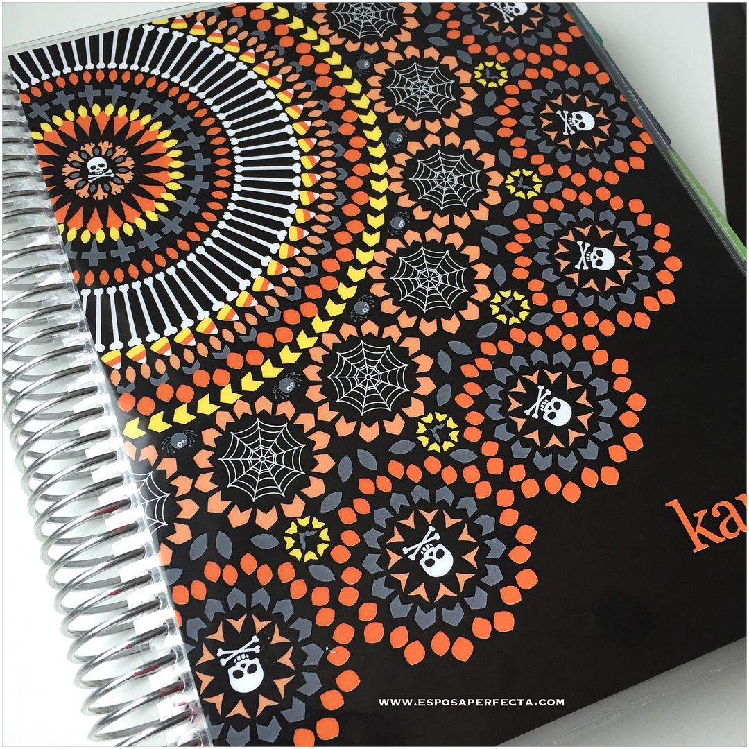 Agenda Erin Condren México