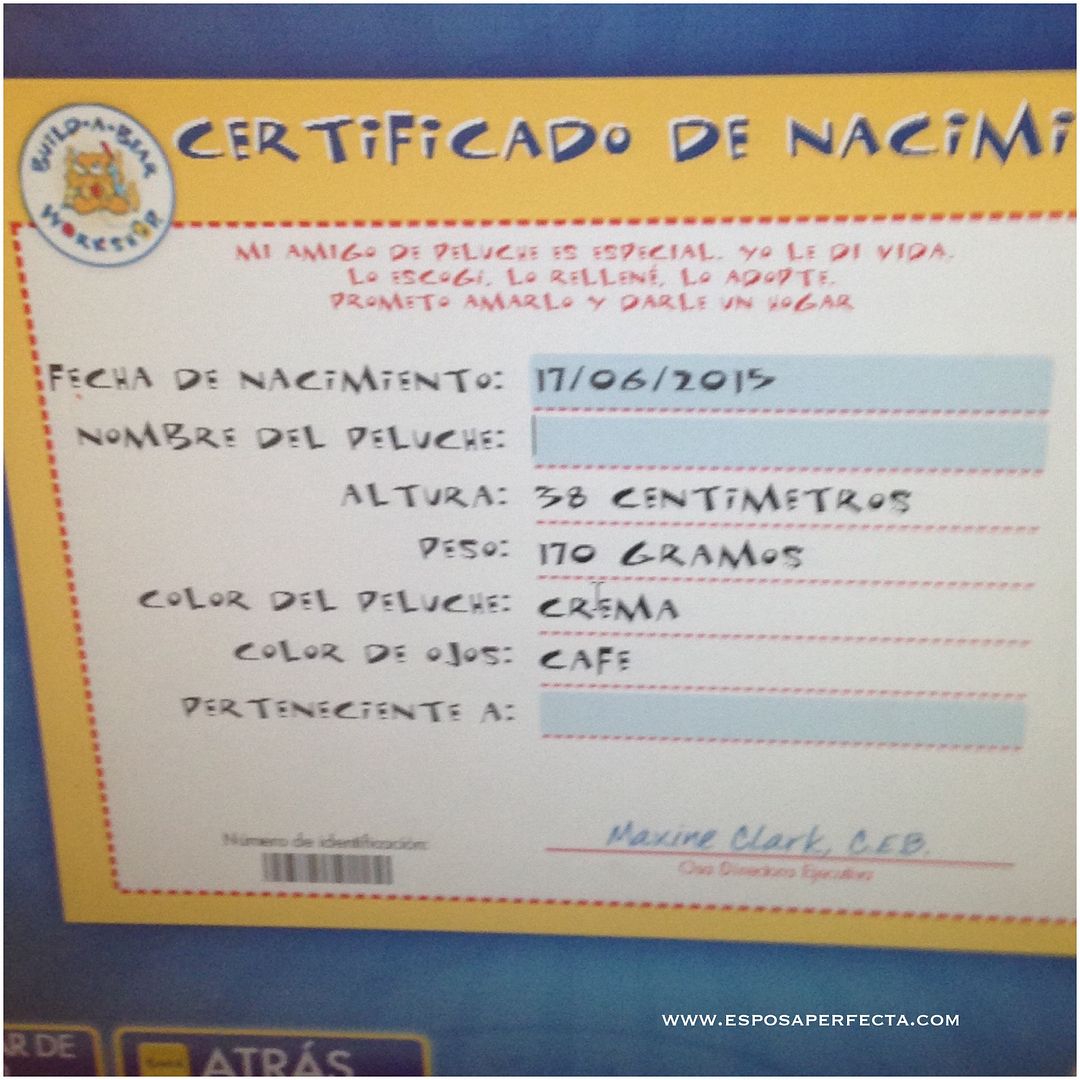 Teddy Bears México