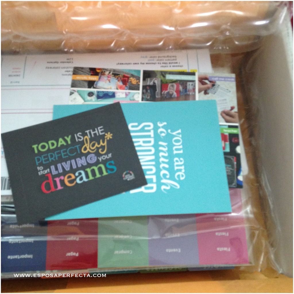 Erin Condren goodies