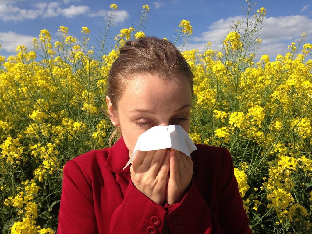 Cómo sobrevivir a las alergias respiratorias?