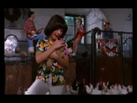 gallina cocowawa