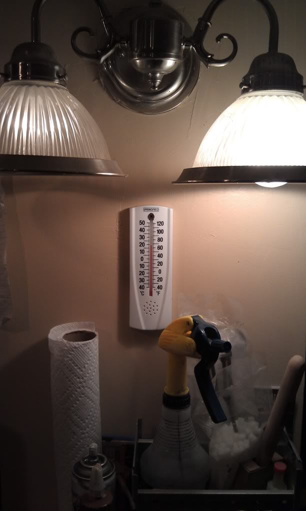 IMAG0695.jpg