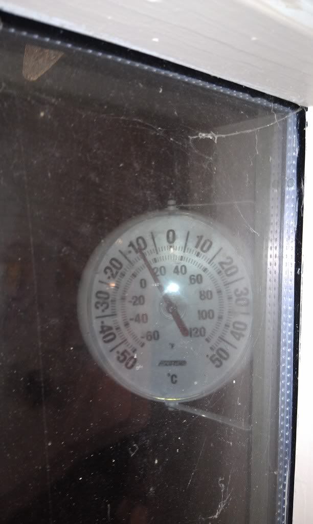 IMAG0696.jpg