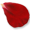 http://i1198.photobucket.com/albums/aa448/llcagedcanaryll/ext_songkarn/rose2.png