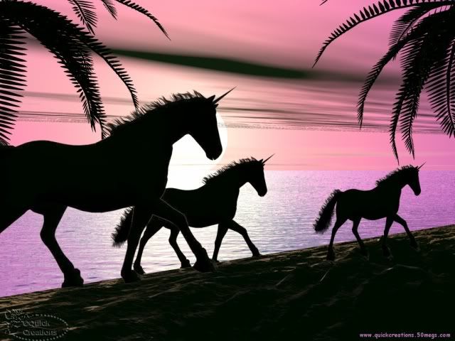 Animals_Horses_640x480_050.jpg