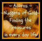 Acorns Nuggets of Gold Blog
