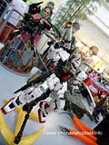 2011 Philippine Gunpla Builders World Cup / 2011 GWBC