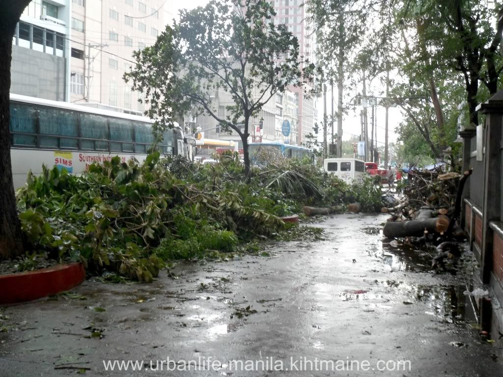 urban-manila,storm,typhoon,nesat,pedring,weather,news,after,manila-ocean-park,museo-pambata,childrens-museum,roxas-blvd,quirino-grandstand,taft-avenue,ermita,manila,disaster