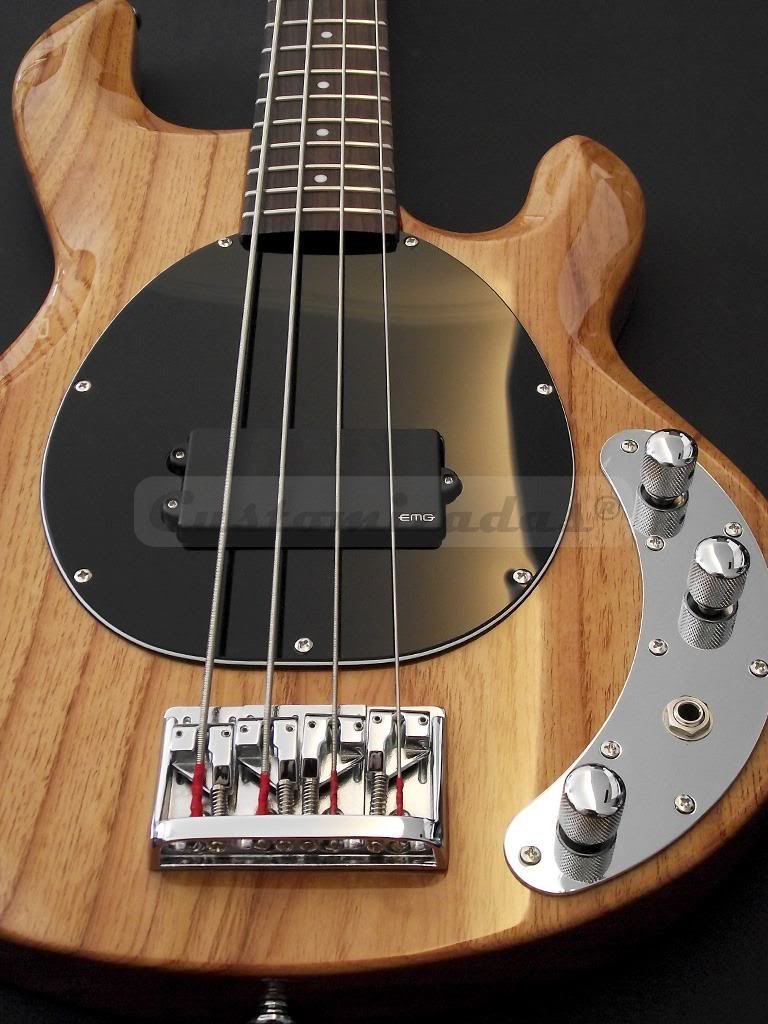 guitarras guitarras