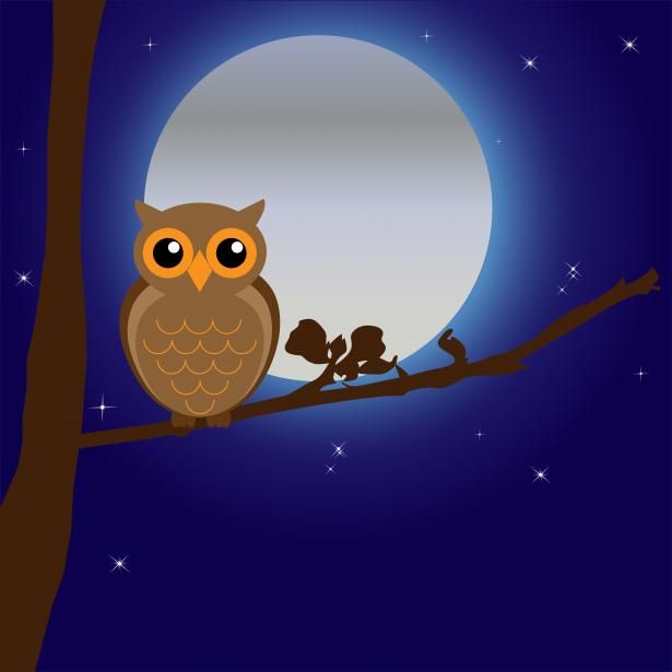 http://www.publicdomainpictures.net/view-image.php?image=35813&picture=owl-by-moonlight