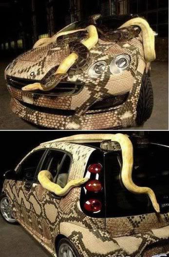 snake kreatif   12 gambar kereta yang menarik