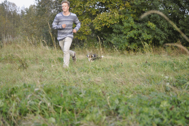 photo anigifasd_zps49ca1d18.gif
