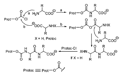 [Immagine: amino-acidprotectinggroups1.png]
