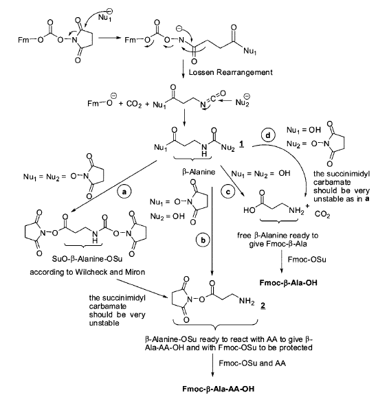 [Immagine: amino-acidprotectinggroups2.png]