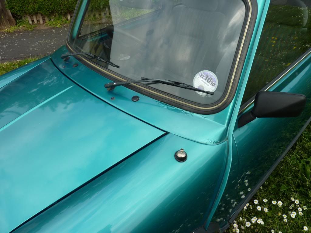 P1080803_zpsc29078ca.jpg