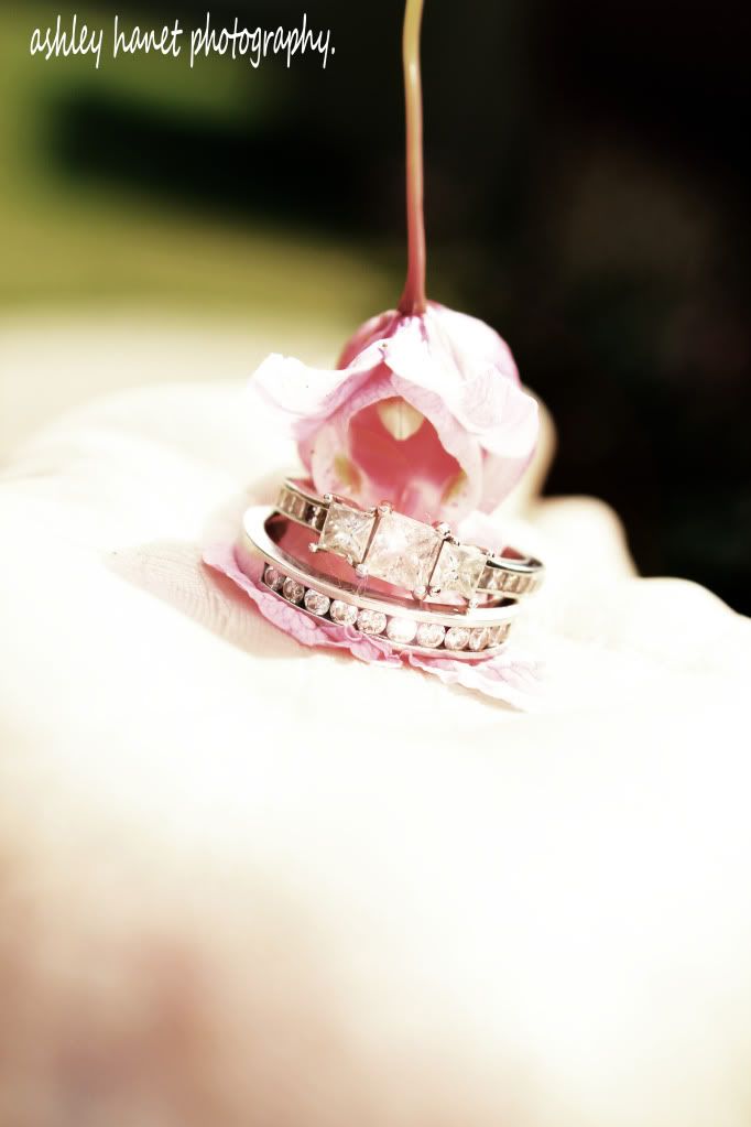 IMAGE: http://i1198.photobucket.com/albums/aa456/ashleyhanetphotography/Canon%20T2i%20Testers/IMG_4026facebook.jpg