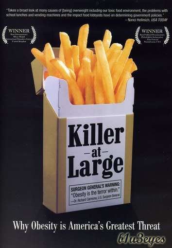 Killer at Large (2008) Killer at Large (2008)