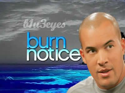 Burn Notice S05E07 480p HDTV x264-mSD