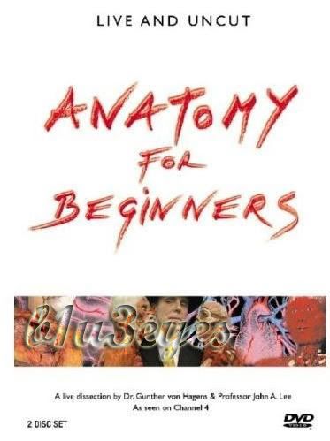 Anatomy for Beginners (2005)
