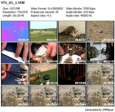 Falconry Basic Training By Dr Nick Fox Falconry Basic Training By Dr Nick Fox