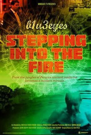 Stepping into the Fire (2011) Stepping into the Fire (2011)