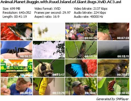 Buggin with Ruud: Island of Giant Bugs (2005)