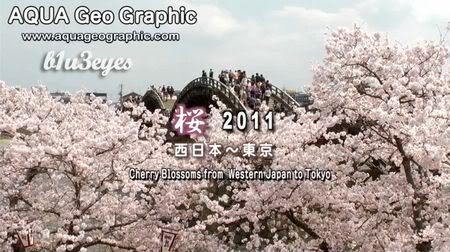 Cherry Blossoms From Western Japan to Tokyo 2011 3D Half-SBS 1080p AAC2 0 x264