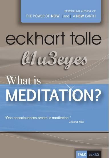 What is Meditation? (2005) What is Meditation? (2005)