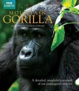 BBC Mountain Gorilla: Last Stand of the Silverback King PDTV Xvid AC3 [MV Group]