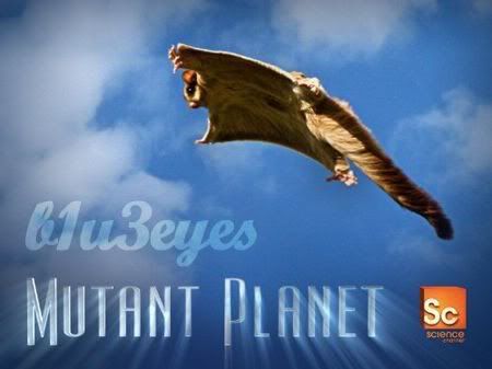 Mutant Planet - (s01e01) New Zealand 720p-AC3 [2011]