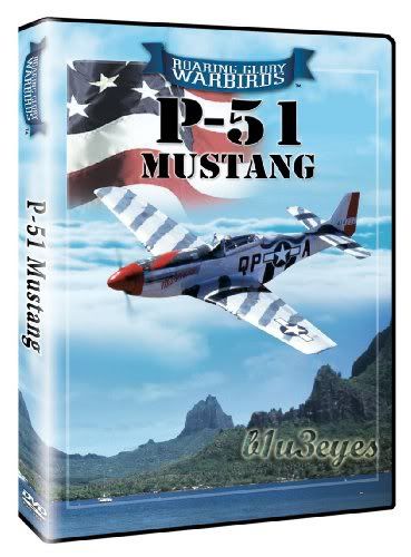 Roaring Glory Warbirds - P-51 Mustang